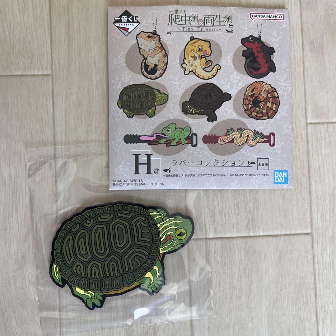 Amazon.co.jp: 爬虫類 両生類 一番くじ H賞 カメ : おもちゃ